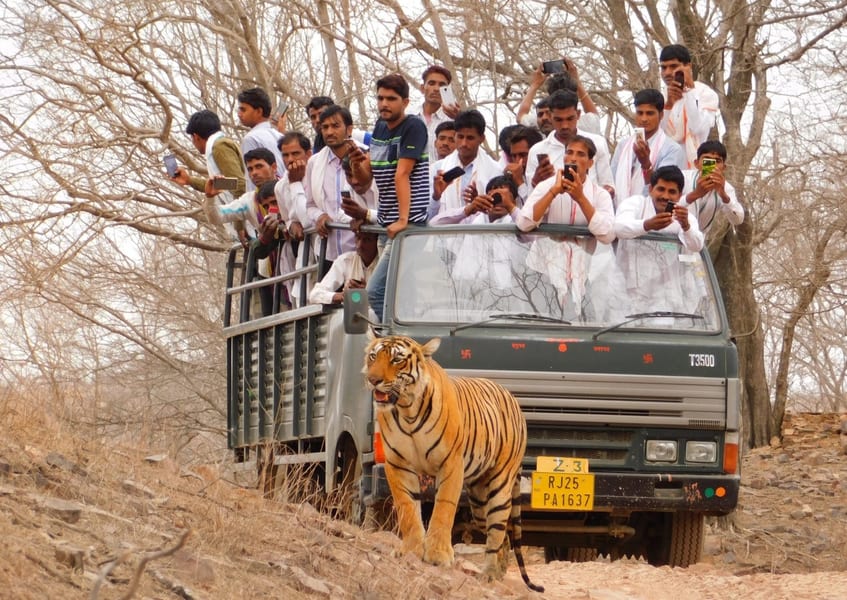 2Nights Dhikala Tour Package