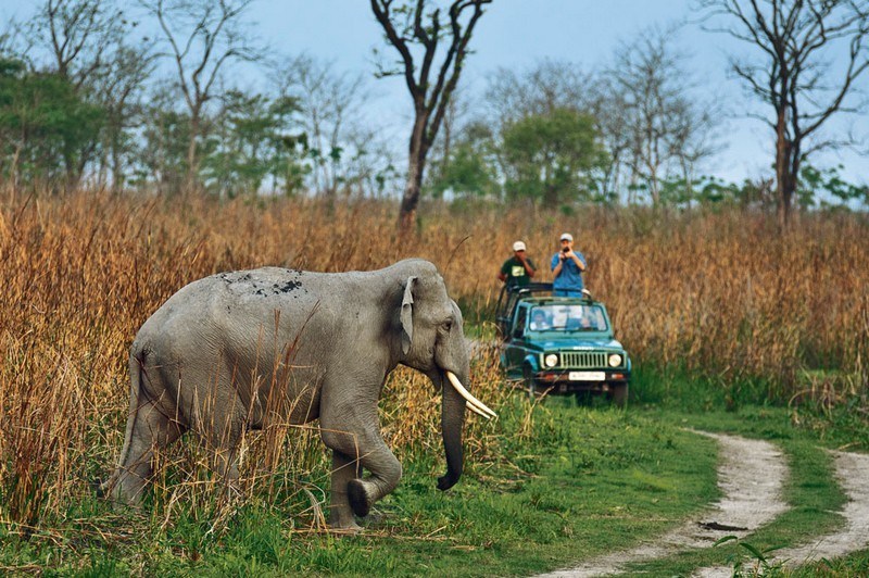 1Night Dhikala Tour Package
