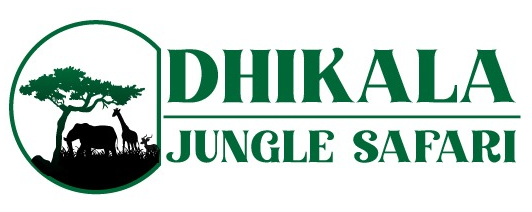 Dhikala Jungle Safari